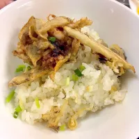 あさりの炊込み御飯とイカのかき揚げ丼|Keyaki Manoさん