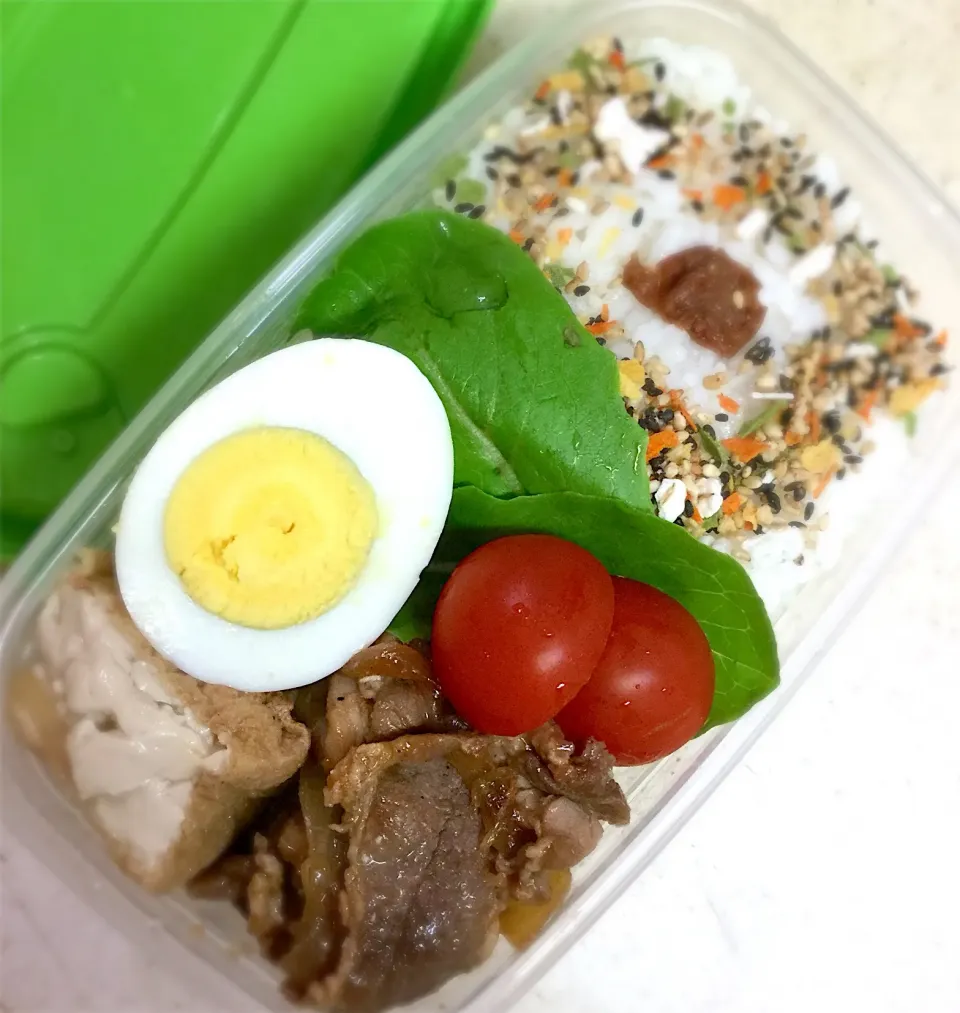 Today's  lunchbox.|hoppycowさん