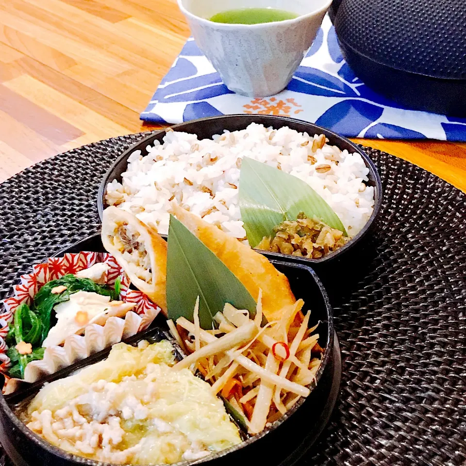 🌿春巻き 🌿白菜と豚ひき肉重ね蒸しあんかけ 🌿ほうれん草と鶏胸肉和え 🌿白だしきんぴら 🌿青しその実漬けと雑穀ご飯|Ayako Sakakibaraさん