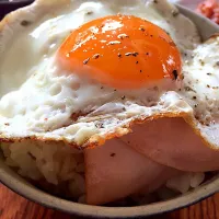 卵焼きがあまりにも美味しそうに焼けたので新米にのせた丼|山本 未亜さん