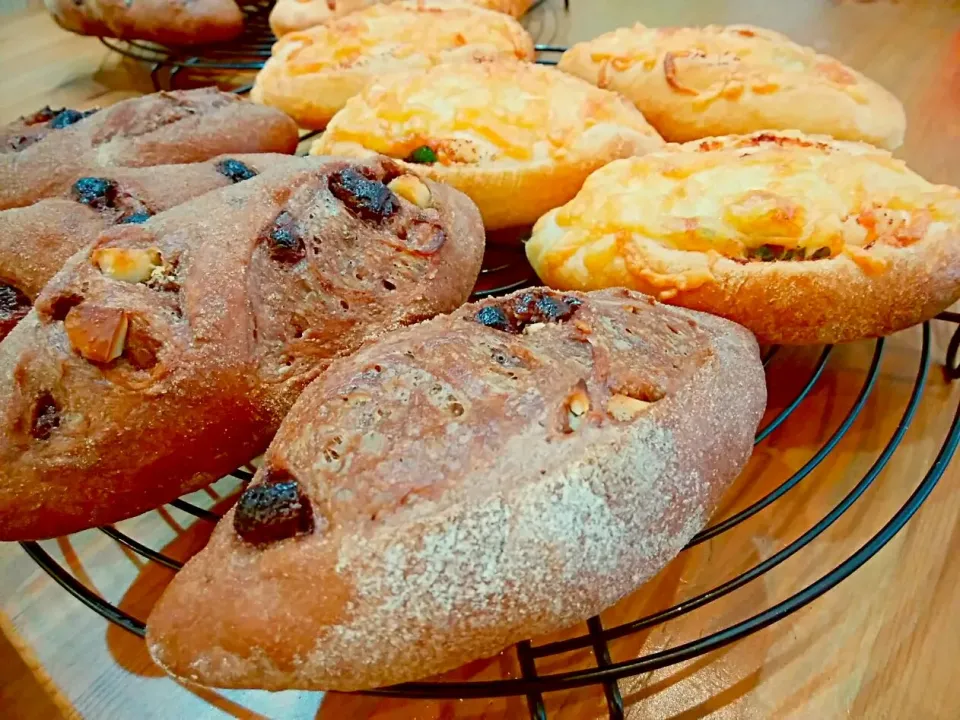 Snapdishの料理写真:チョコマカダミアナッツのパン🍞|pigmegさん