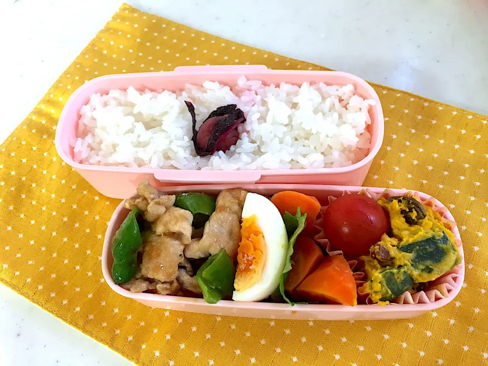 Snapdishの料理写真:今日のお弁当🍱|くっきいさん