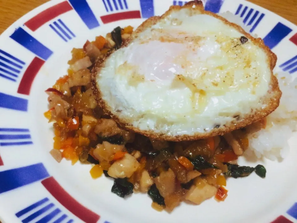 Rice with fried chicken and basil, topped with a fried egg.
#egg #chicken #basil #pepper #onion #rice #oystersauce #nampla|Meeさん