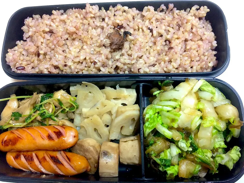 #今日のお弁当 ソーセージ、鶏ささみ・舞茸と豆苗のオイスターソース炒め、蓮根のきんぴら、長芋のバター醤油焼、白菜の塩昆布漬|Victoryageさん