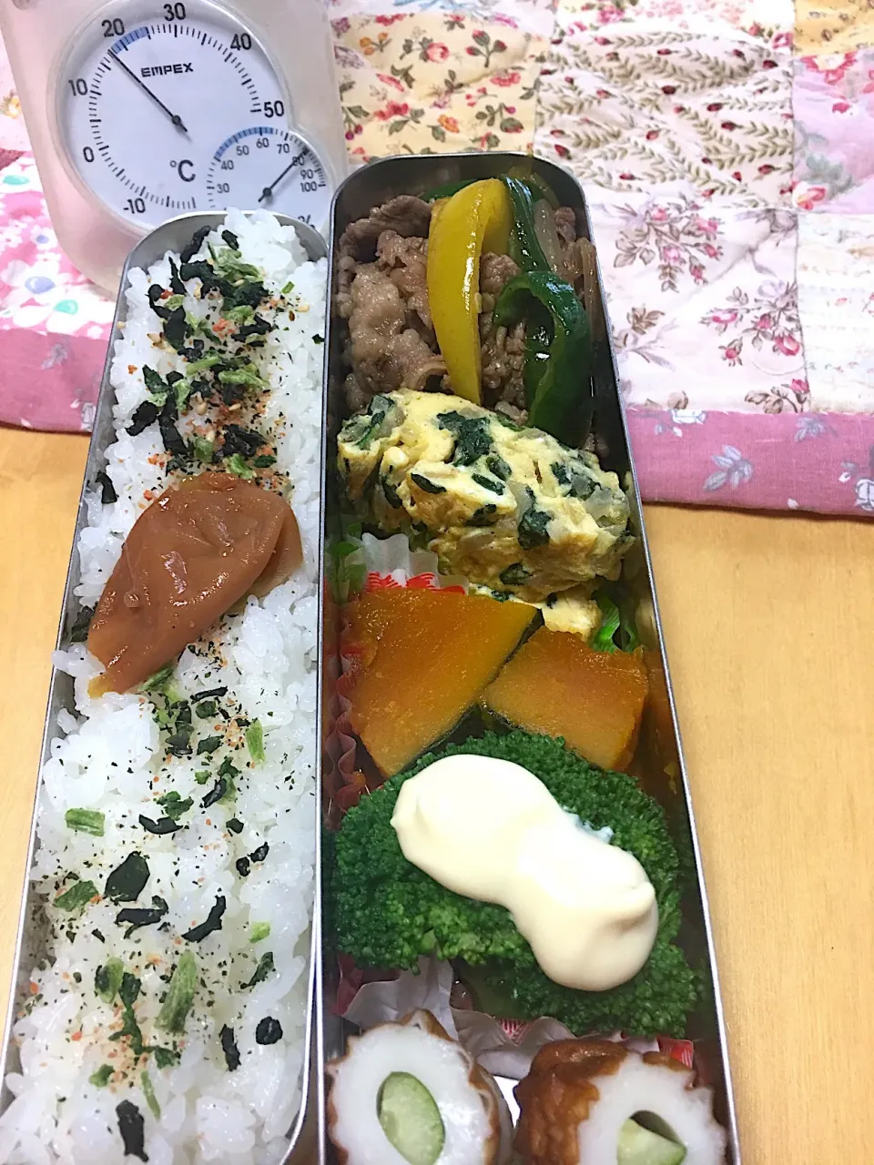 Snapdishの料理写真:ピーマンと牛肉の炒め ほうれん草入りオムレツ カボチャ煮 ブロッコリー ちくわきゅうり弁当。|Kumiko Kimuraさん