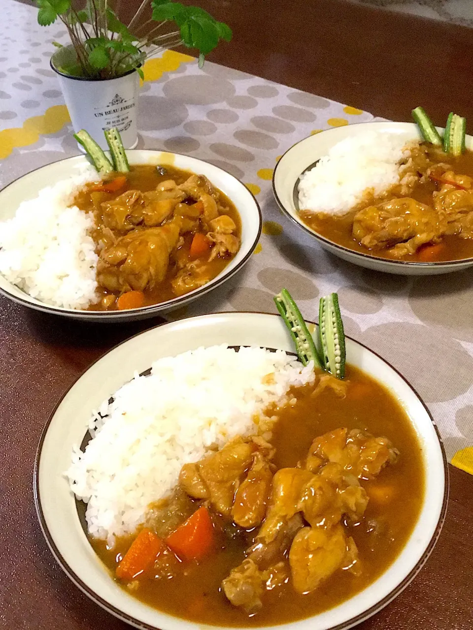 Snapdishの料理写真:手羽元チキンカレー|けもさん