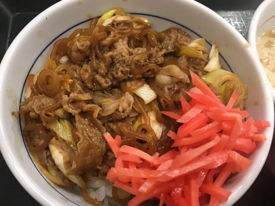 なか卯の牛丼|みきゃこさん