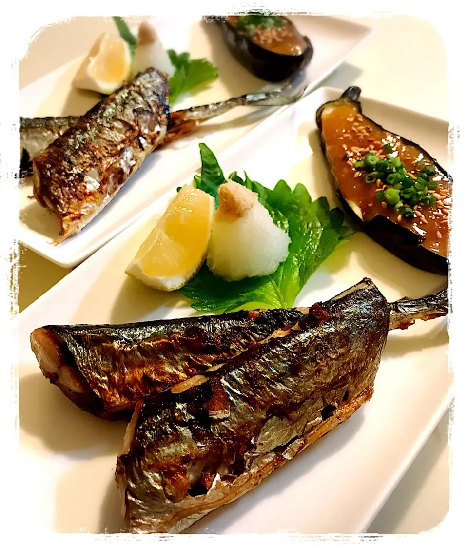 やっとありつきました〜Salt-grilled saury|toyamadaさん