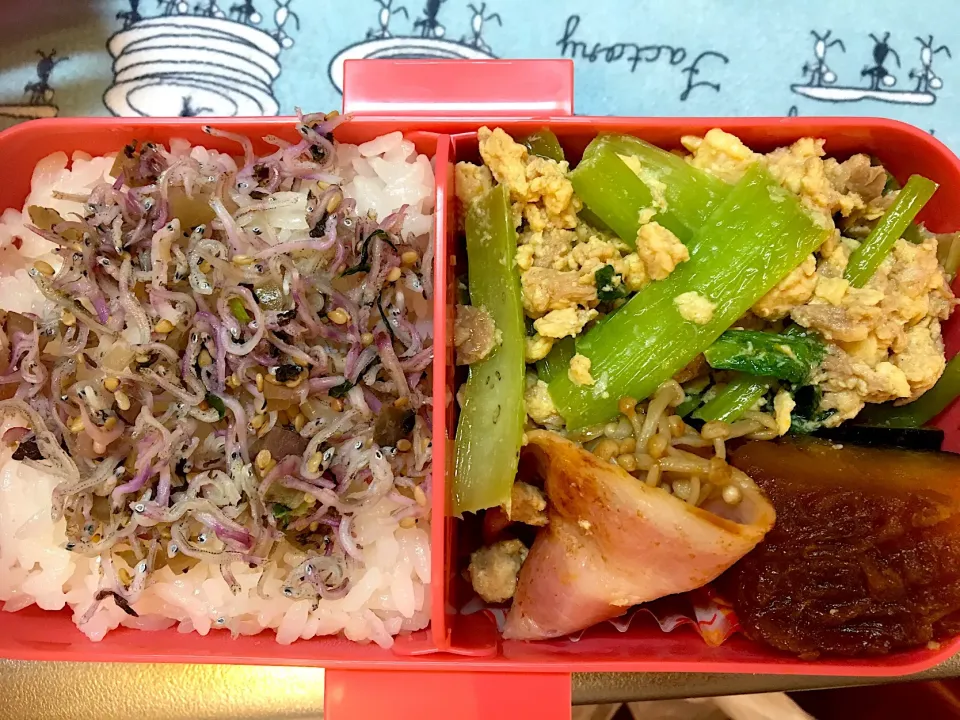 今日のお弁当
全部残りもの|よこさん