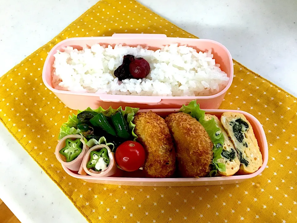 今日のお弁当🍱
さつまいものコロッケ🍠|くっきいさん