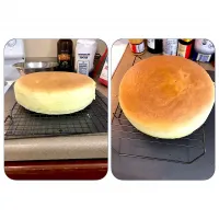 Japanese CheeseCake|Jen Hembreeさん