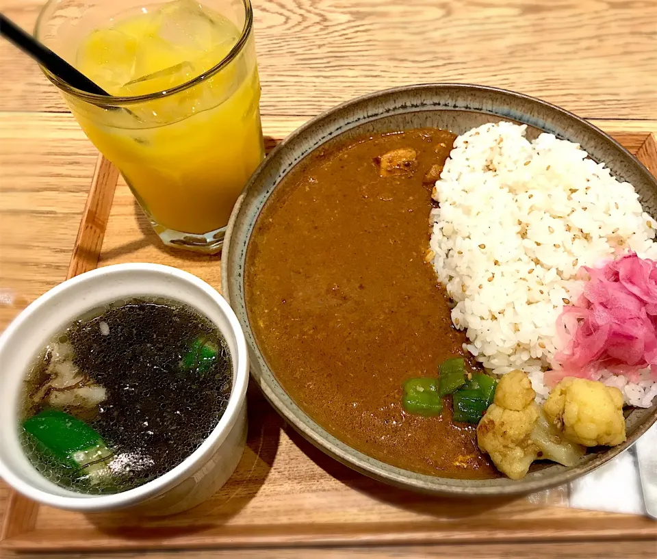 カレーライスとスープセット(スリランカ風スパイスカレーともずくとオクラのスープ)|チカさん