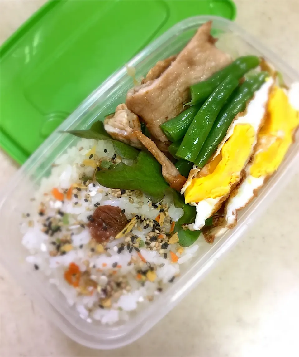 Today's  lunchbox. ミニトマト切らしてた(´･ω･`)|hoppycowさん