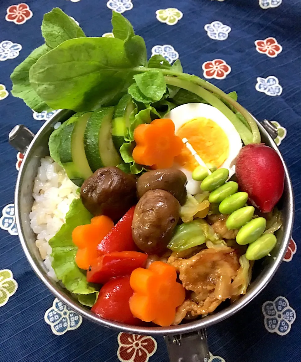 お弁当❤︎日記2017.10.19.|yummy yummy yumingさん