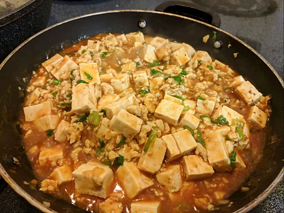 vegetarian mabo tofu|Ami Haさん