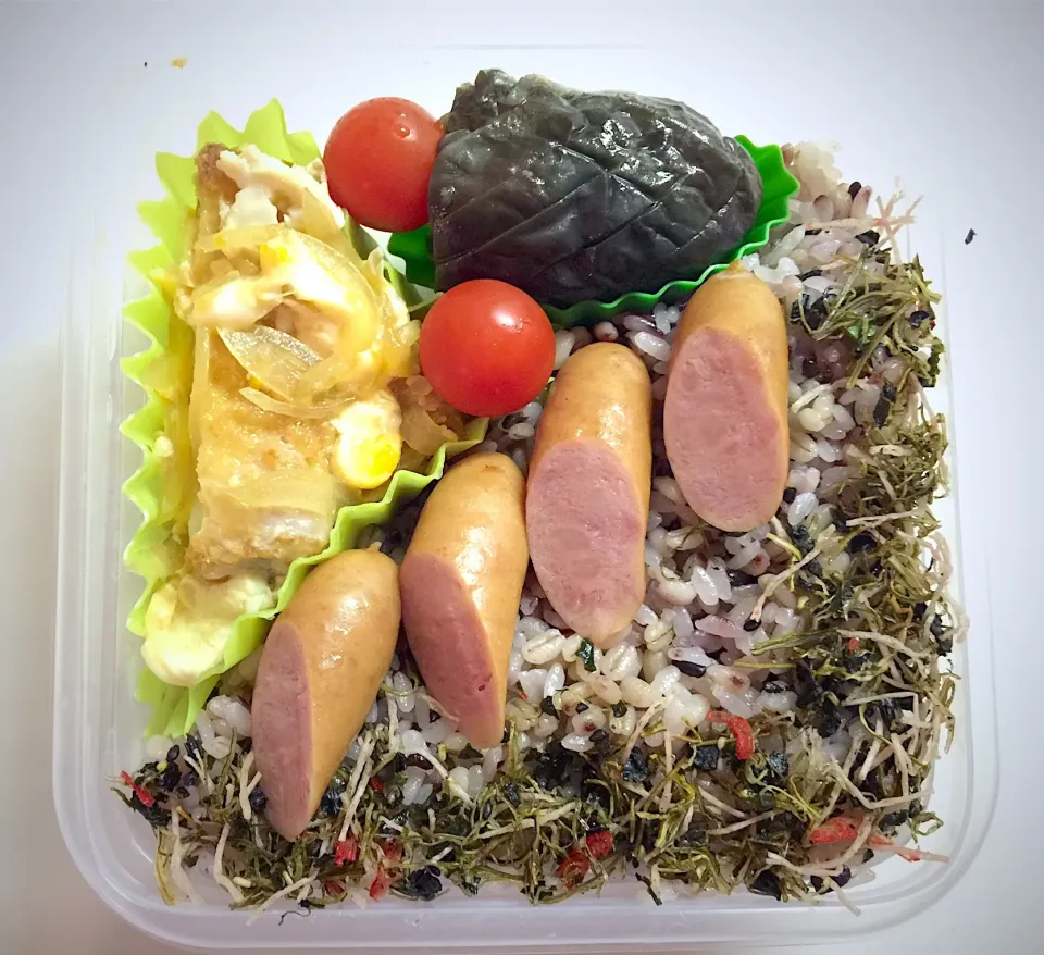 2017 10/25 本日のジップロックお弁🍱
「カツ煮弁当」🐷
#本日のお弁当|BUBUさん