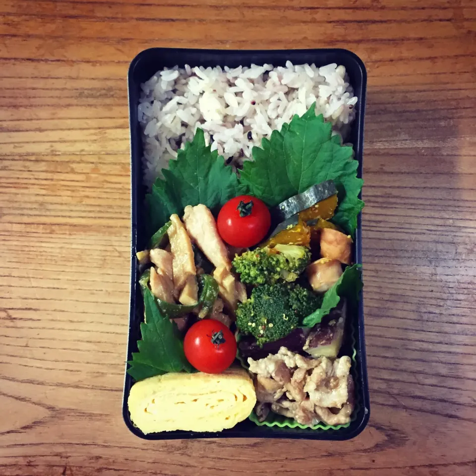 25.Oct 2017#lunchbox #lunch #お弁当 #お弁当記録|はーさん