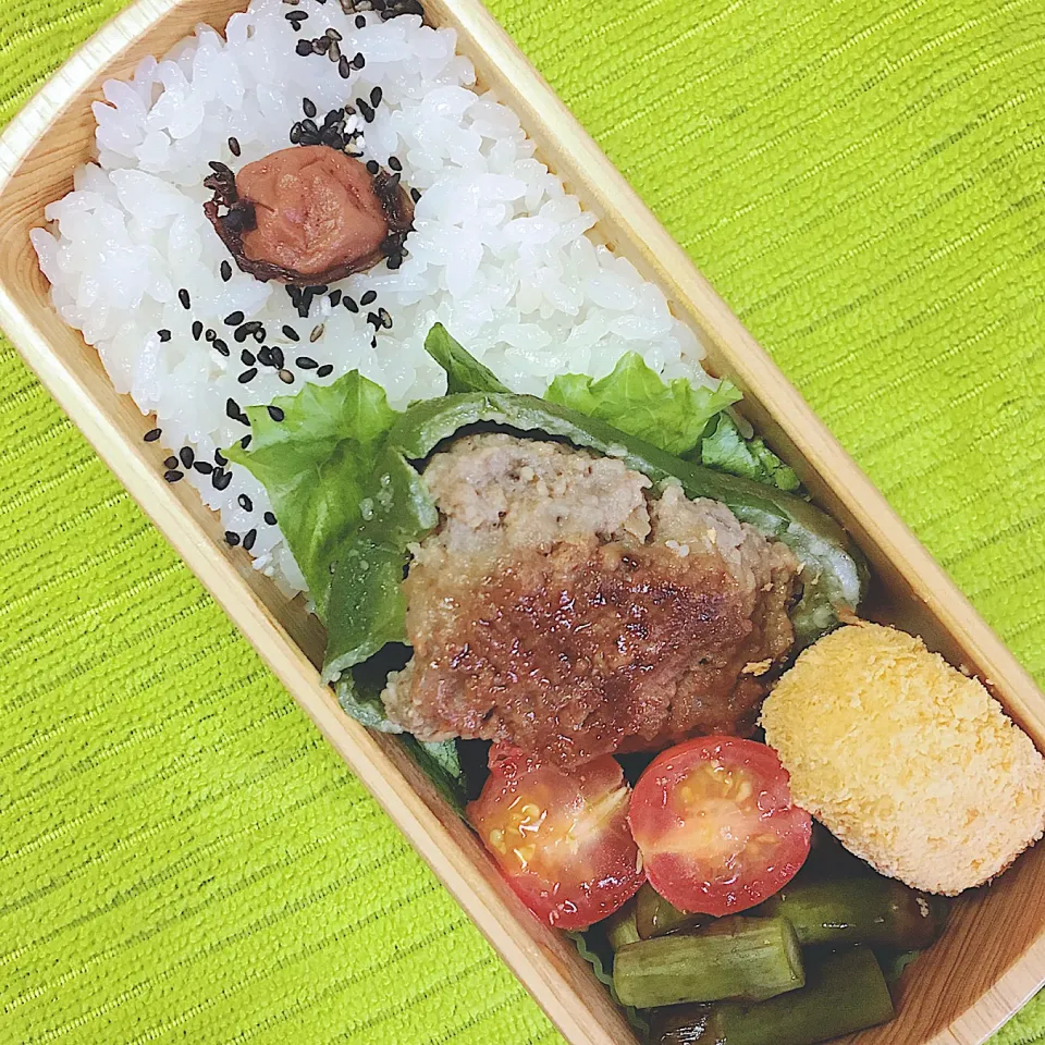 お弁当|_tsvietさん