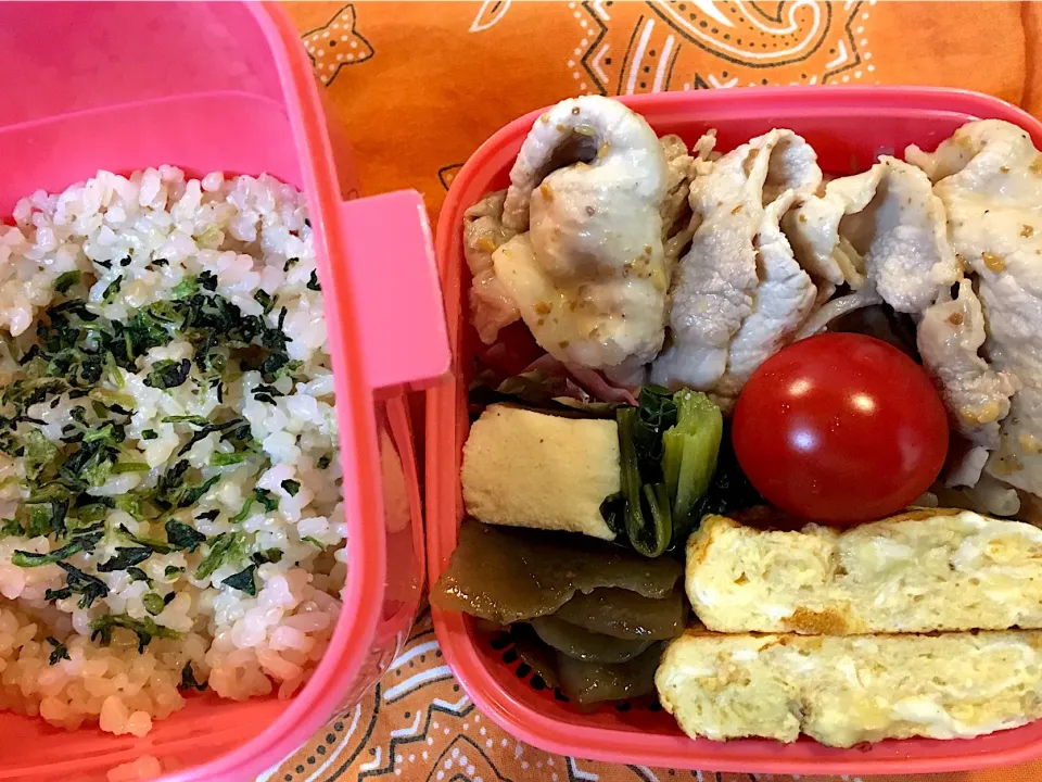 ♫今日のお弁当♫〜豚しゃぶゴマだれ、だし巻き卵、こんにゃくの甘辛煮、小松菜と高野豆腐の煮物、トマト〜|Satokoさん