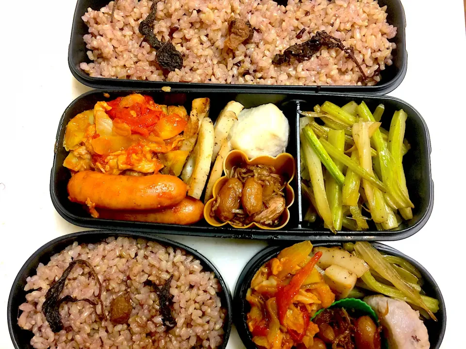 #今日のお弁当 ソーセージ、豚肉とキャベツのトマト煮、焼き蓮根のぽん酢和え、里芋の煮物、茹で落花生とちりめんの佃煮風、セロリのきんぴら|Victoryageさん