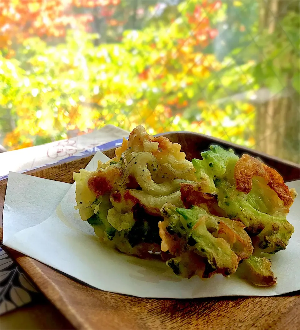 昼ごはん  mottomoさんの居酒屋motto揚げ物  ゴーヤのかき揚げ|砂雪さん