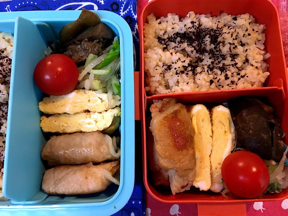 ♫今日のお弁当♫〜じゃがいもとにんじんの肉巻き、だし巻き卵、ナスとピーマンの味噌炒め、もやしときゅうりのナムル、トマト〜|Satokoさん