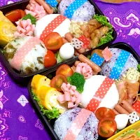 Snapdishの料理写真:小学生男子遠足弁当♪|ニライカナイさん