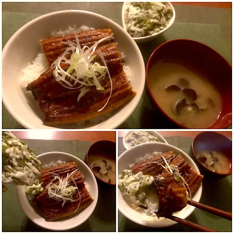 Unadon(Bowl of eel&rice)❗️鰻丼 めかぶ大和芋添え〜  Shijimi clam miso soup🐚しじみのお味噌汁|🌈Ami🍻さん