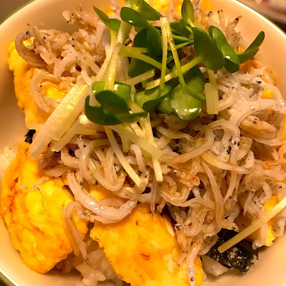 薄焼き卵焼きと釜揚げしらす丼😋|HALさん