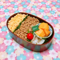 Snapdishの料理写真:そぼろ弁当