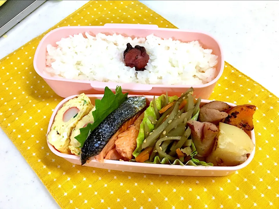 今日のお弁当🍱
鮭の塩麹味✨|くっきいさん