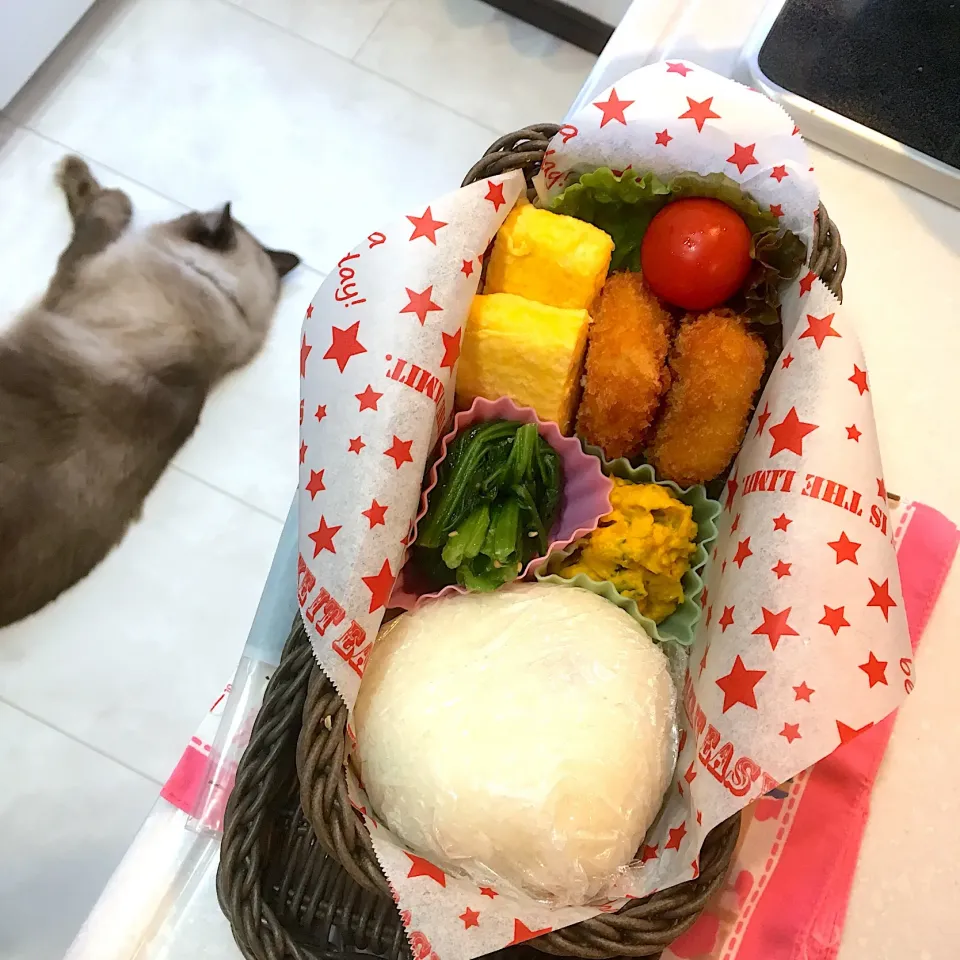 今日のお弁当(๑´ڡ`๑)塩昆布おにぎり、カニクリームコロッケ、卵焼き、かぼちゃサラダ、小松菜の胡麻和え|mayumiさん