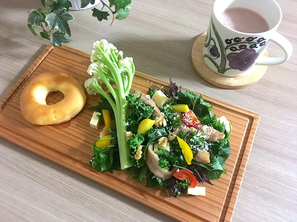 Snapdishの料理写真:ホットビスケットとモリモリサラダで朝ごはん|michicoさん