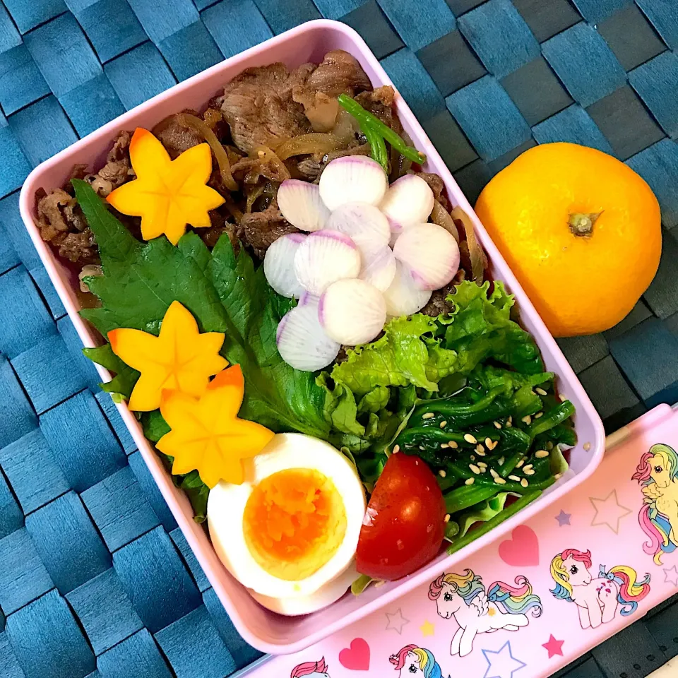 #お弁当  #牛丼弁当|chikasdayさん