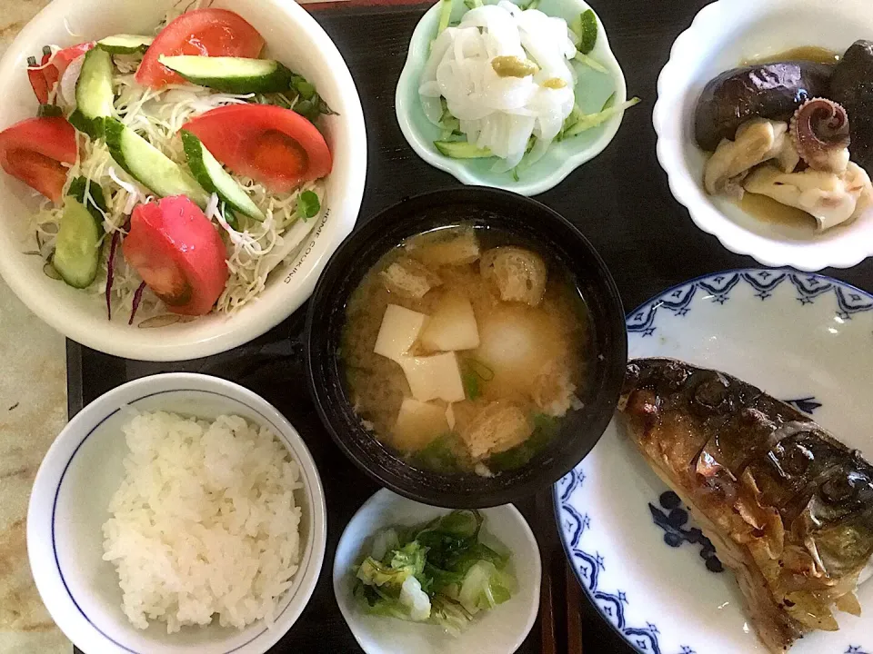 本日の昼食です。鯖の塩焼き、茄子と烏賊下足の煮物、イカ刺し、味噌汁卵入、サラダ、お漬物、御飯少々です。|詳智　片山さん