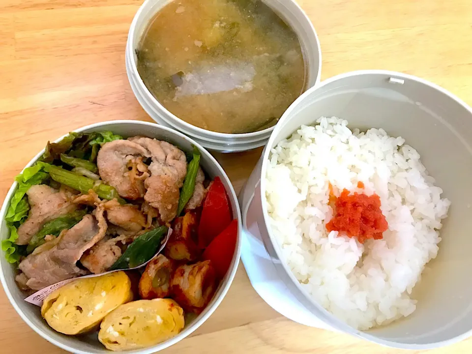 Snapdishの料理写真:#豚野菜炒め弁当|ゆりえさん