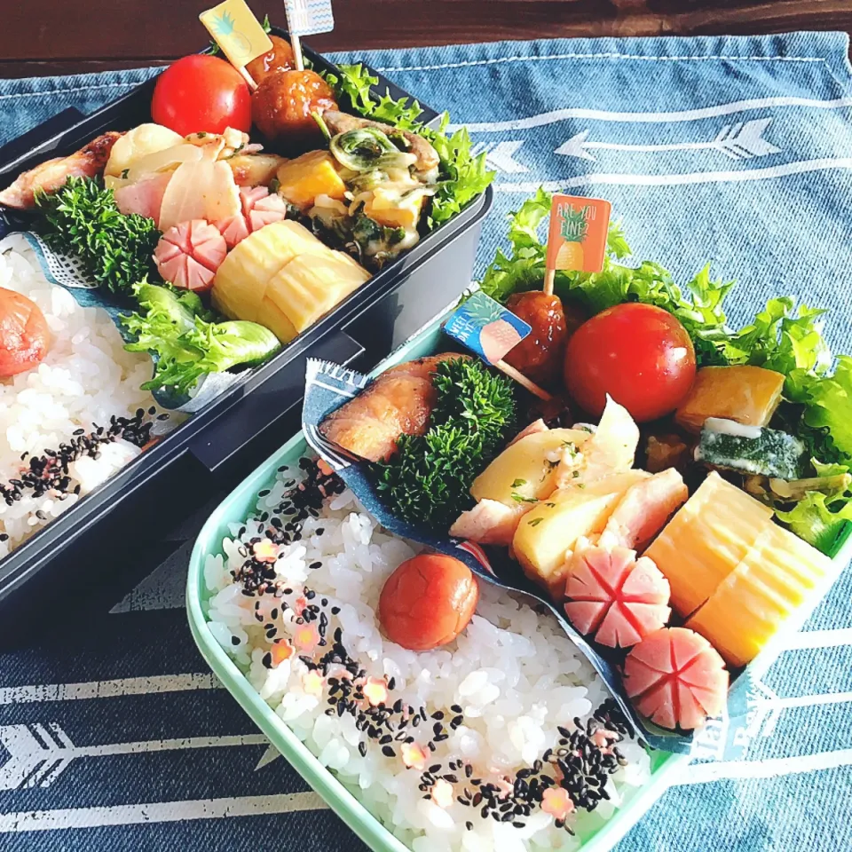 日本の鉄板お弁当🍱 焼き鮭の日の丸弁当🇯🇵|SAORIさん