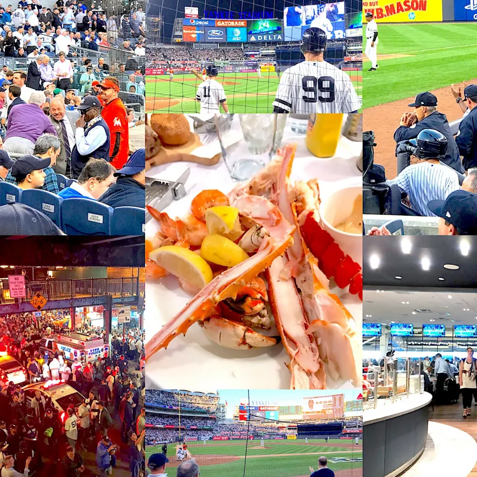 Yankees stadium|erisさん