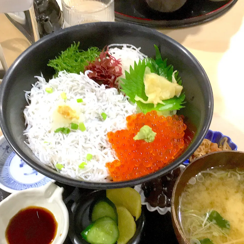 しらすいくら丼|yumyum😋さん