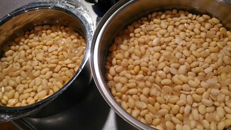 明日お味噌づくりのため、大豆を浸してます😄
Soaking soybeans, preparing for miso making tomorrow! 
在浸泡大豆。。明天做日式味噌💪
 #Japanese cuisine|Yuikomさん