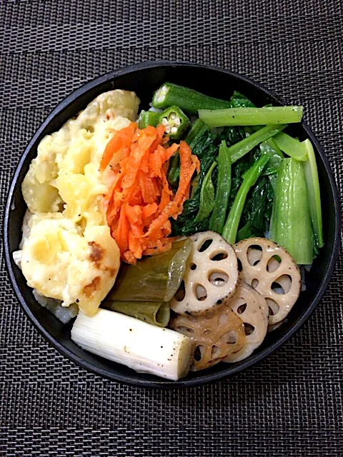 ポテトグラタン、オクラ、小松菜、蓮根、長葱、人参 #vegetarian  #お弁当  #bento  #vegetable  #lunch|aiさん