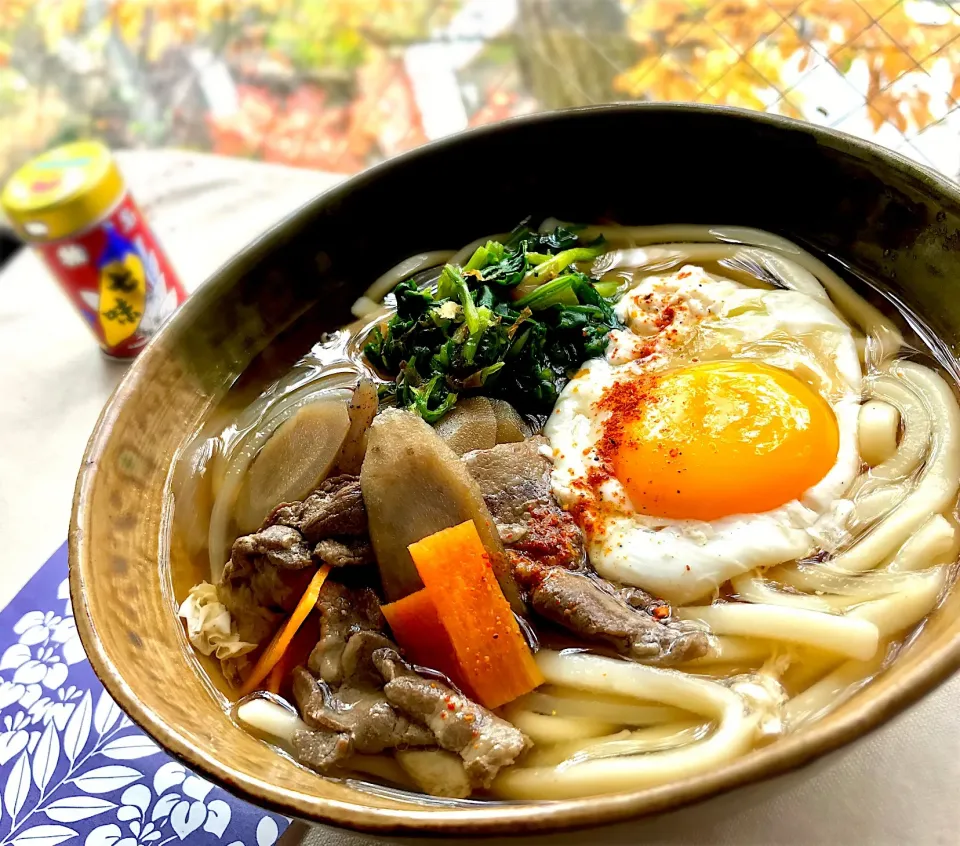 昼ごはん  金平ごぼうどん|砂雪さん