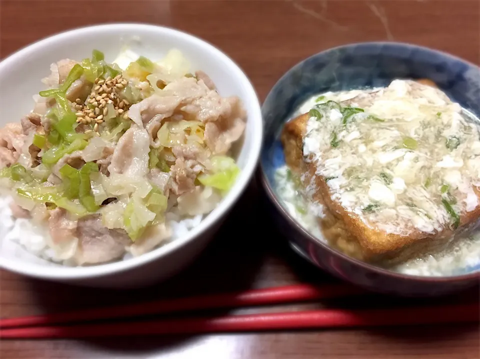 ⚫︎ネギ塩豚丼
⚫︎厚揚げの淡雪餡かけ|まるちゃんさん