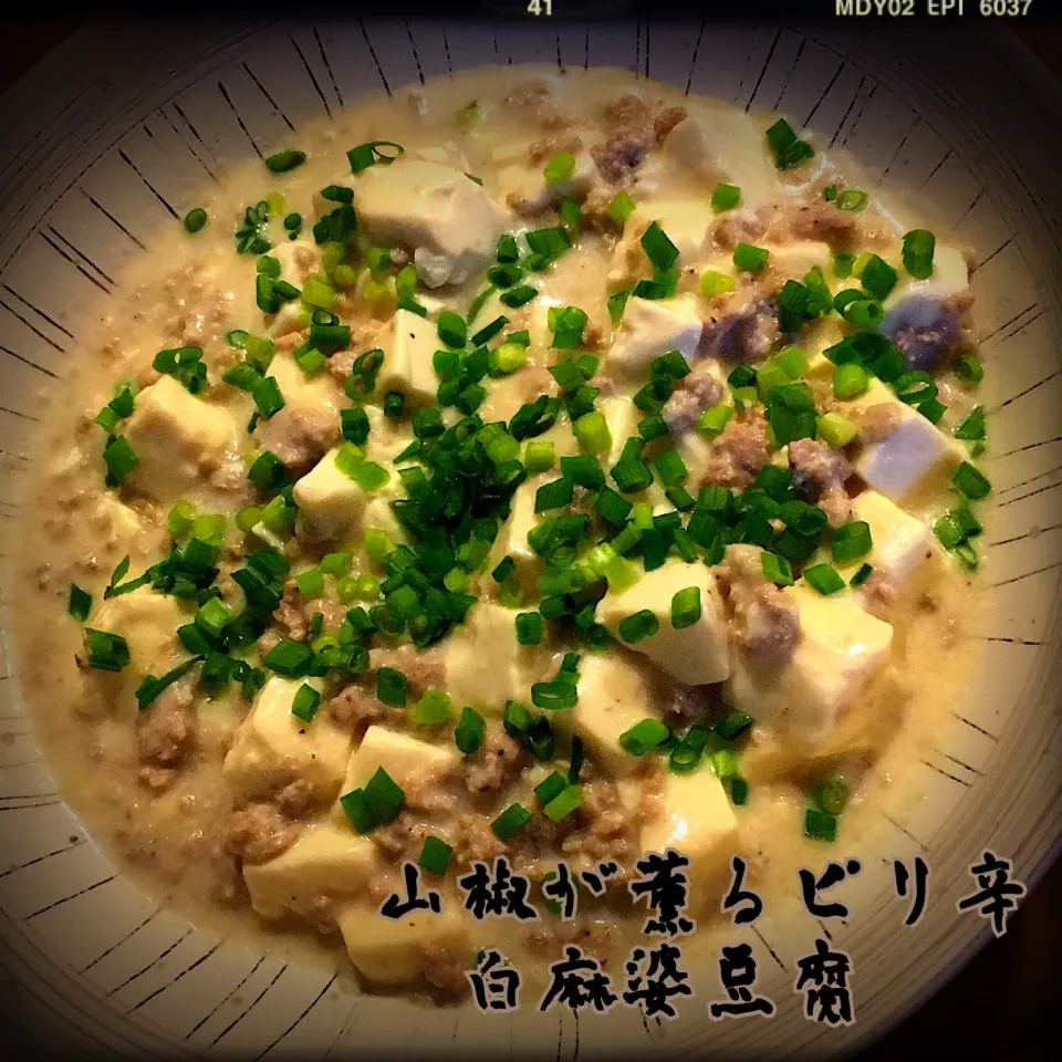 佐野未起ちゃんの冷え性には効果的❤️山椒が薫る ピリ辛白麻婆豆腐😋 クリーミィな中に山椒のピリ辛が冴える ポリフェノールの山盛り😁|ともきーた (伊藤 智子)さん