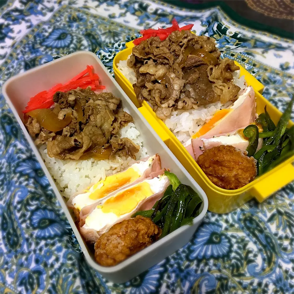 #お弁当  #お昼ご飯 

11.6 今日のお弁当🍱🍱|renharuruさん