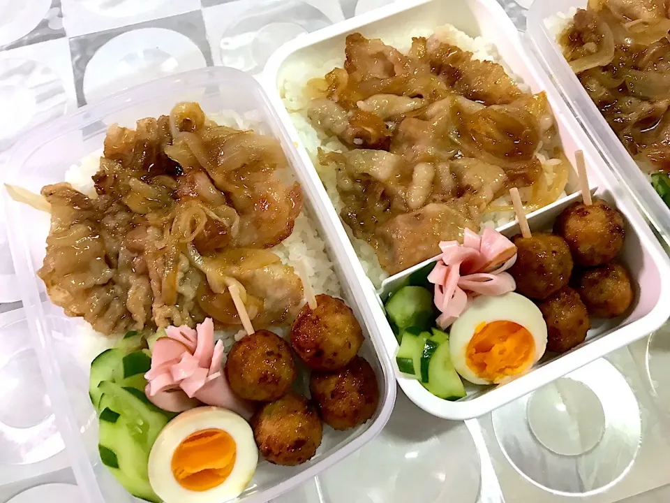 豚肉のしょうが焼き弁当
#しょうが焼き|mettiさん