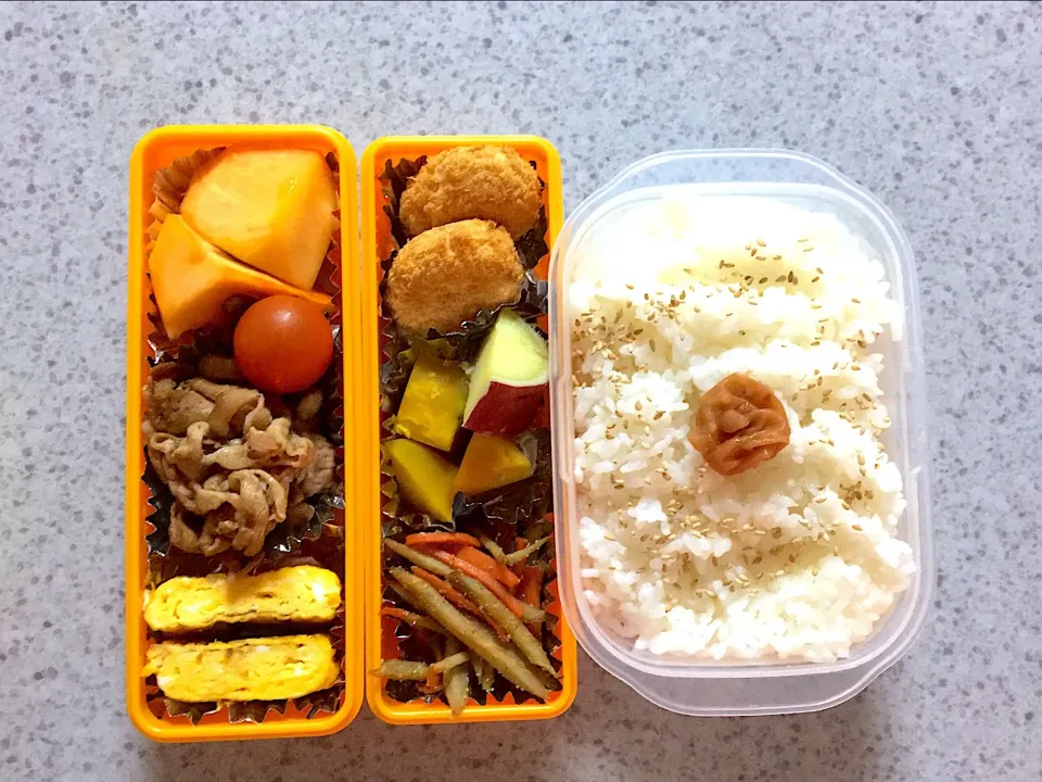 11/7 お弁当|みーぬさん