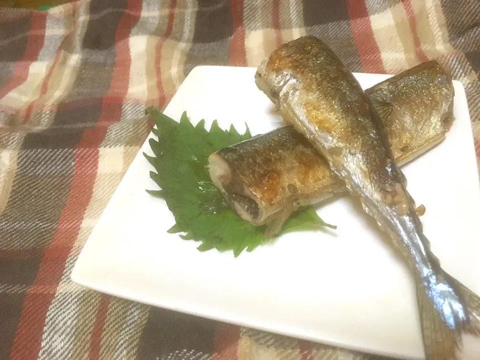 秋刀魚の塩焼き|ハルさん