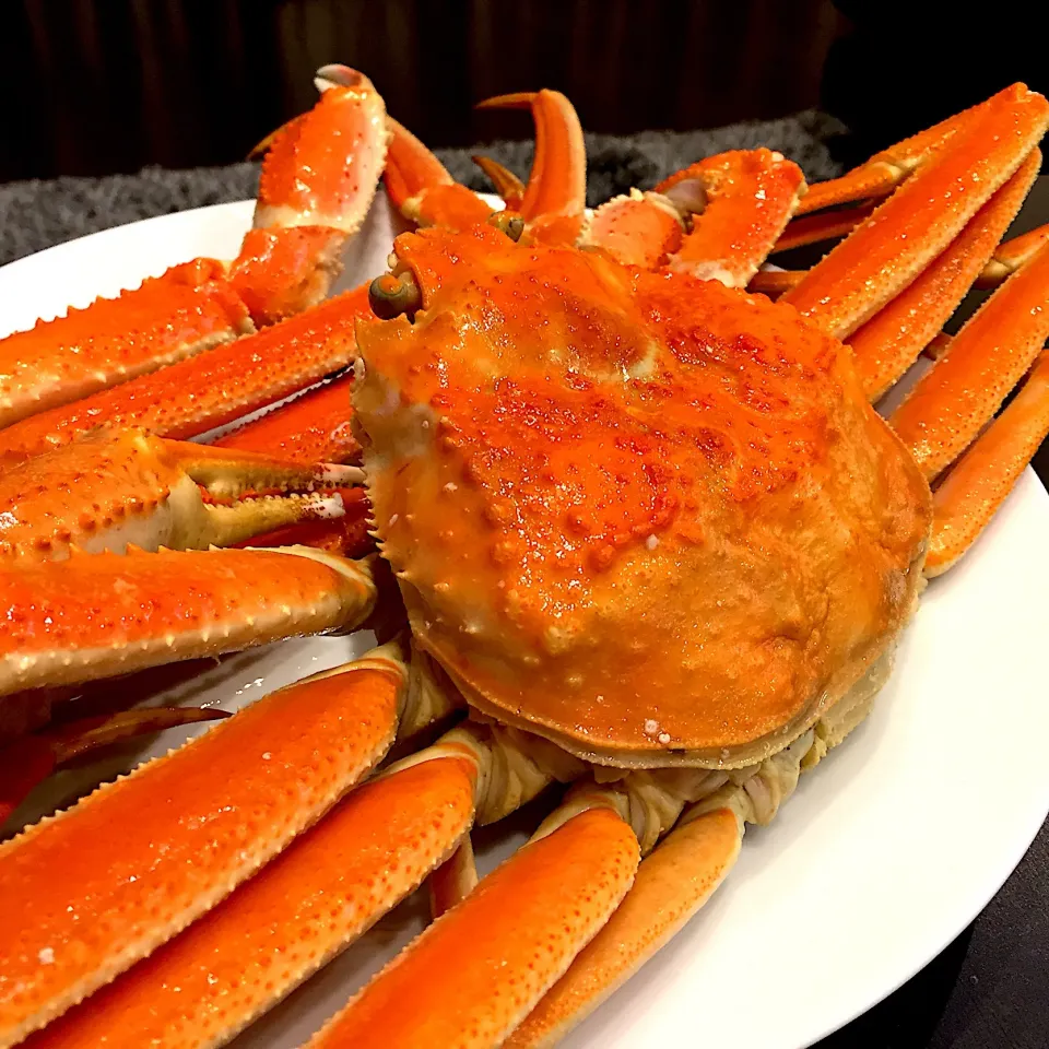 今夜は福井県で買って来た蟹さん🦀|ヨッチャンさん