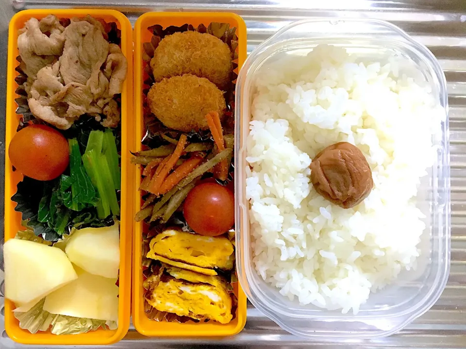 11/8 お弁当|みーぬさん